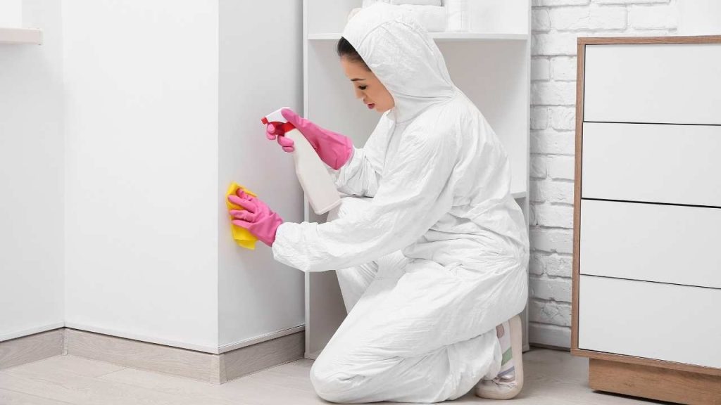 mould-removal-cost