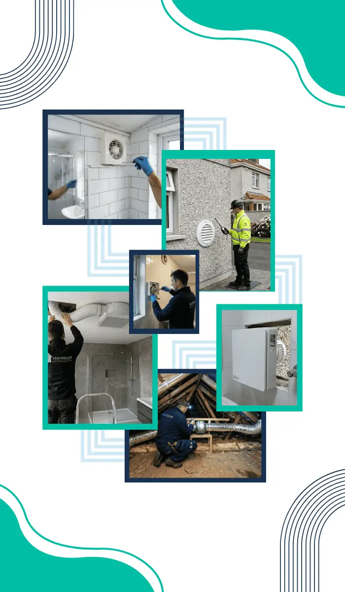 common-signs-of-mould-in-commercial-properties