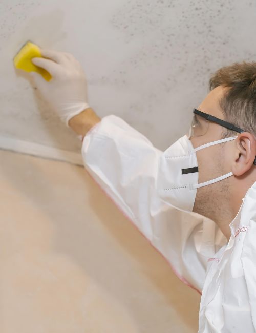 techniques-do-we-employ-for-effective-mould-remediation