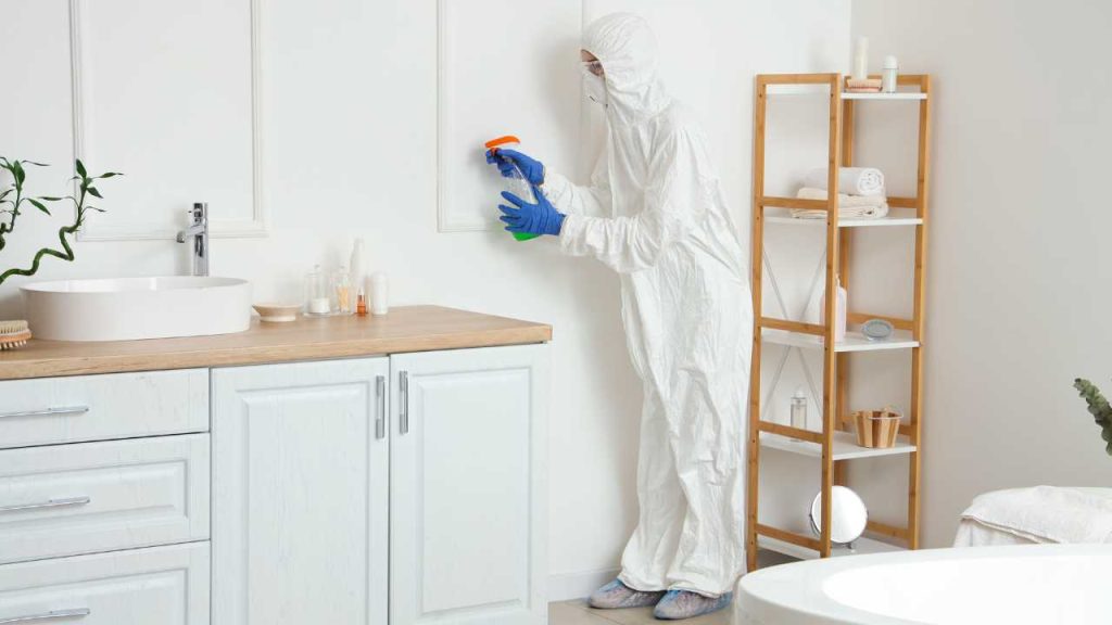 What Are The Health Hazards of Mould? 1 allergies