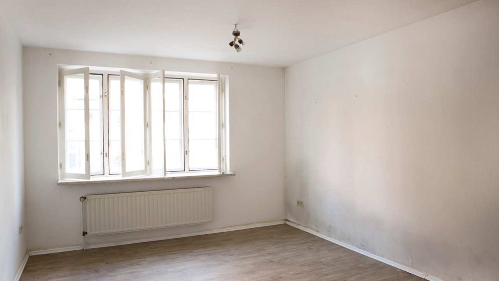 can-i-paint-over-mould