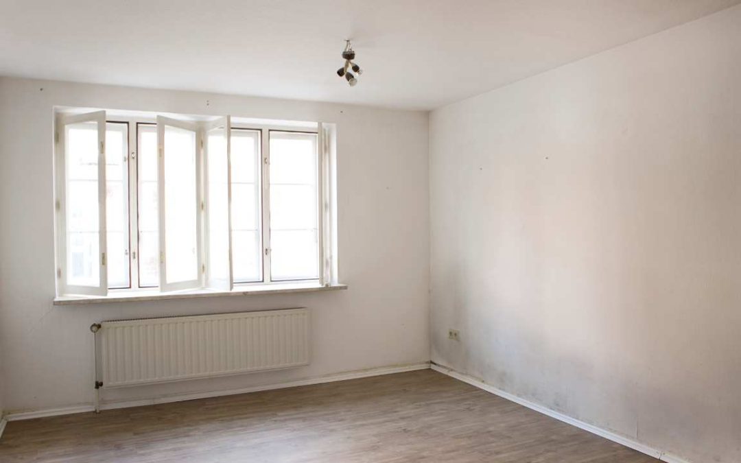 Can I Paint Over Mould?