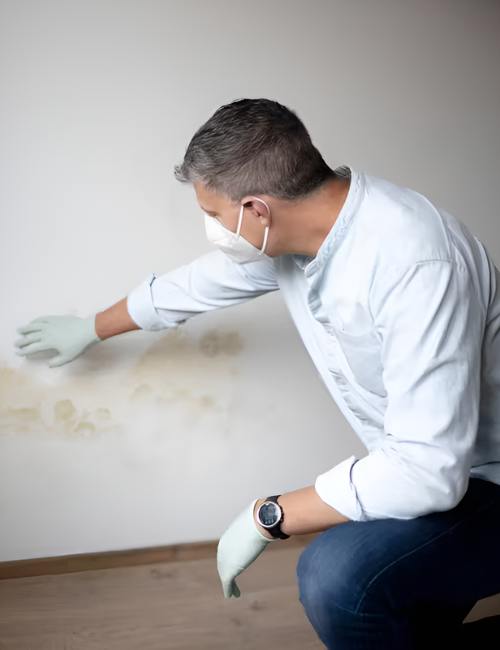 techniques-do-we-employ-for-effective-mould-remediation