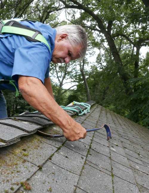 techniques-do-we-employ-for-effective-mould-remediation