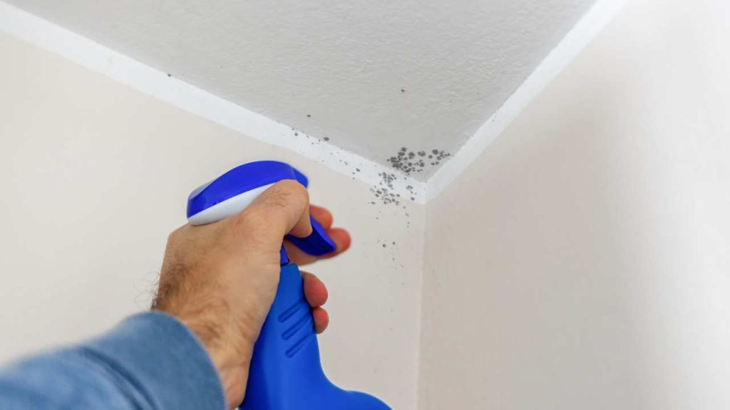 treat mould with cleaning agent