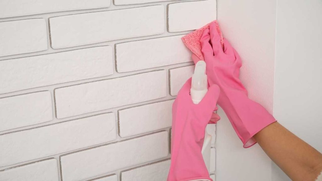 use mould resistent spray for mould removal