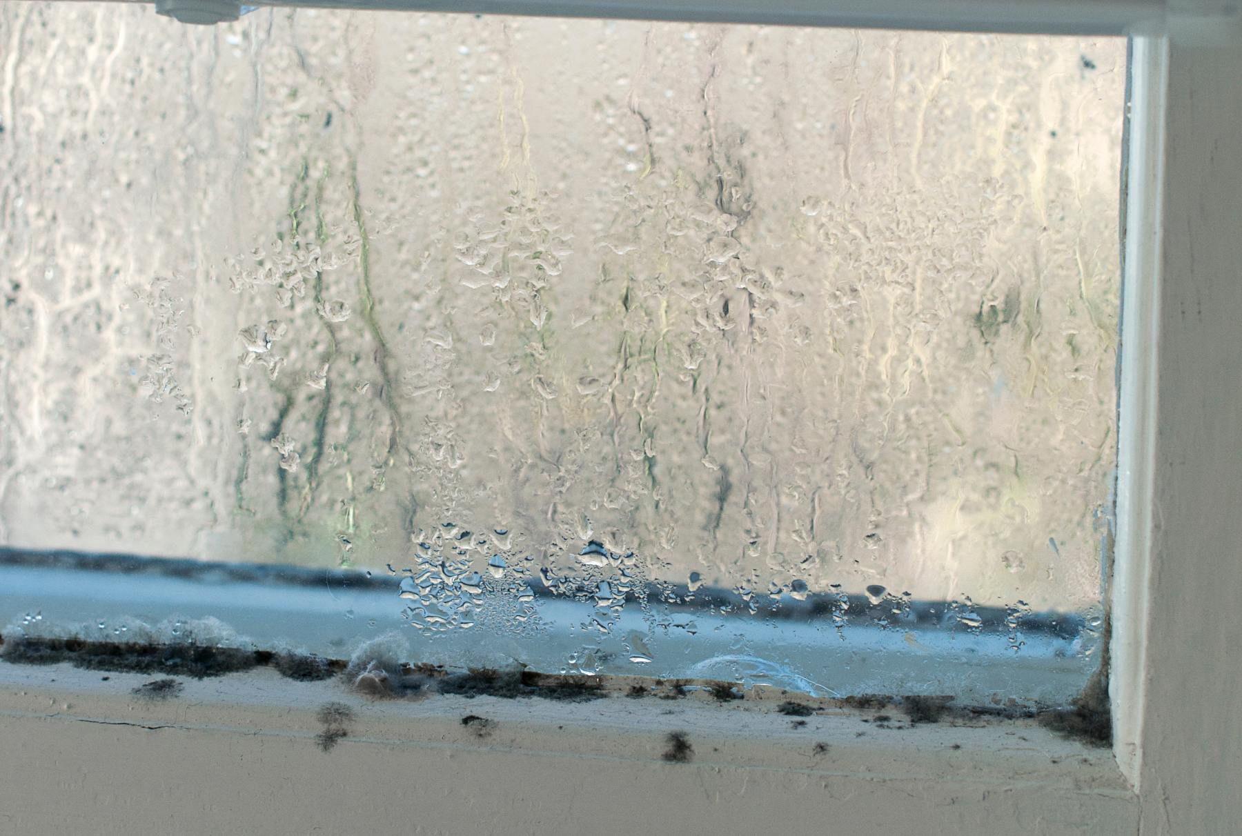 Condensation and mould on a window sill in an Irish home