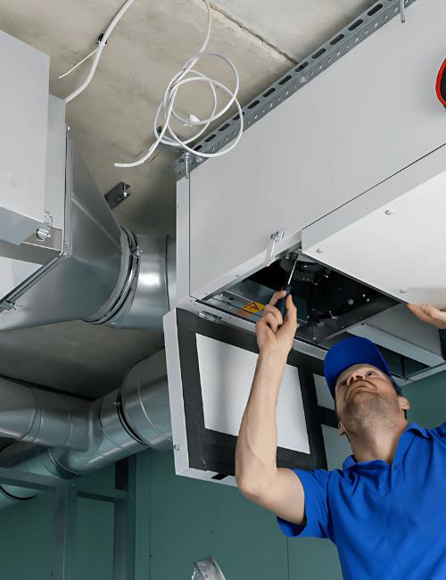techniques-do-we-employ-for-effective-mould-remediation