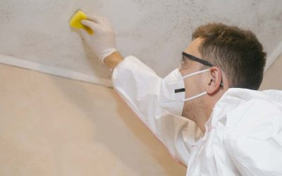 How to Remove Mould From Bathroom Ceiling?