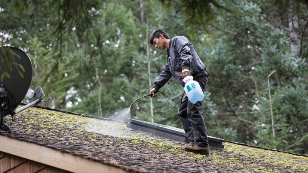 diy-roof-moss-removal