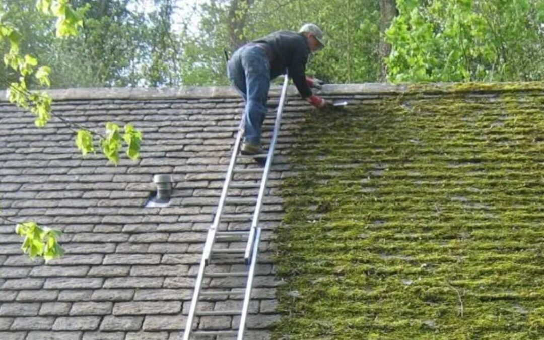 What Are the Pros and Cons of DIY Roof Moss Removal?