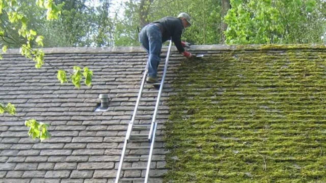 diy-roof-moss-removal-ideas