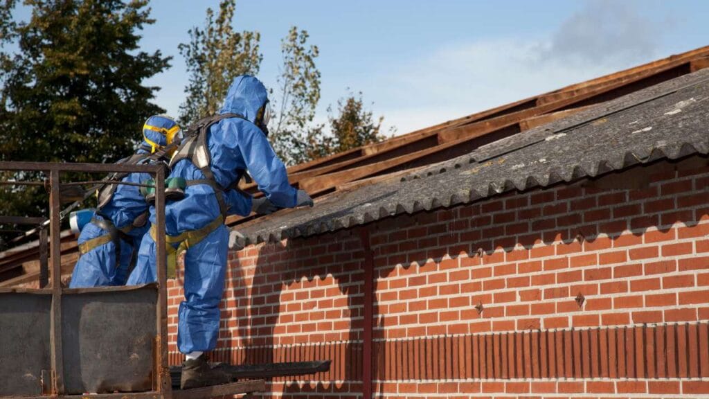 a man wearing a blue suit and protective gearsafety-challenges-of-diy-roof-moss-removal