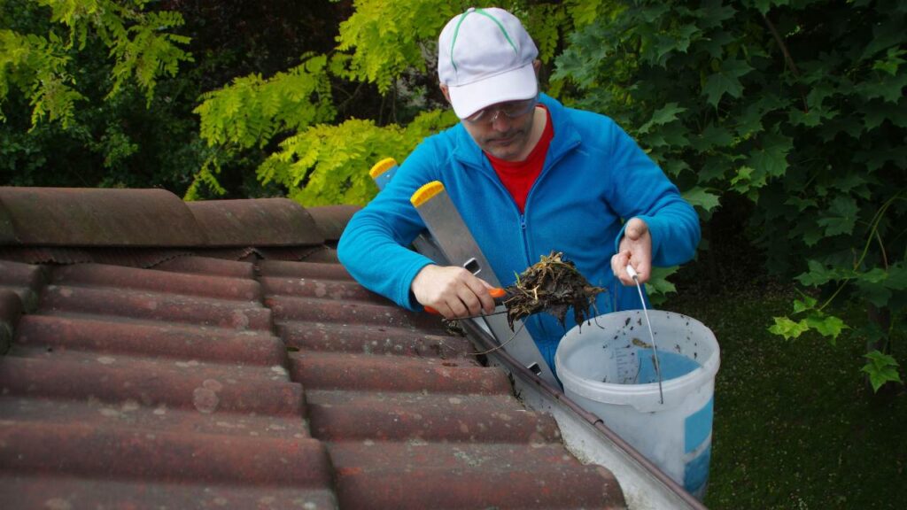 4 methods for effective roof moss removal 3