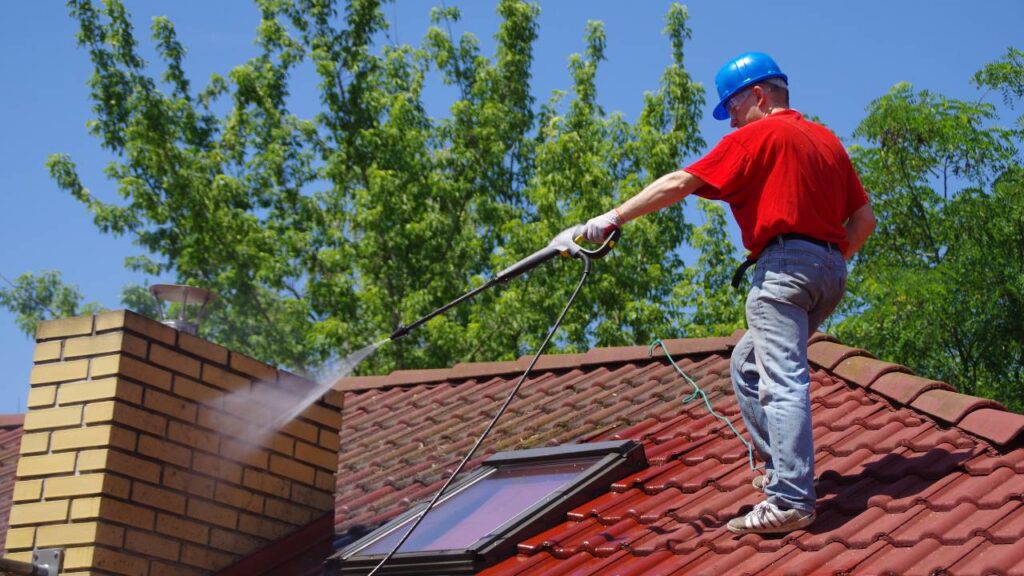 best time of year for roof moss removal in ireland 1