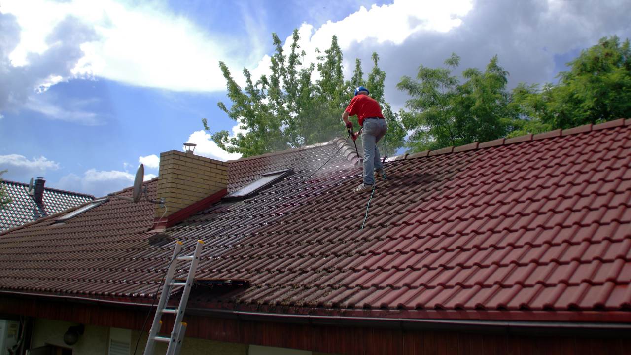 what-is-the-best-time-of-year-for-roof-moss-removal-in-ireland