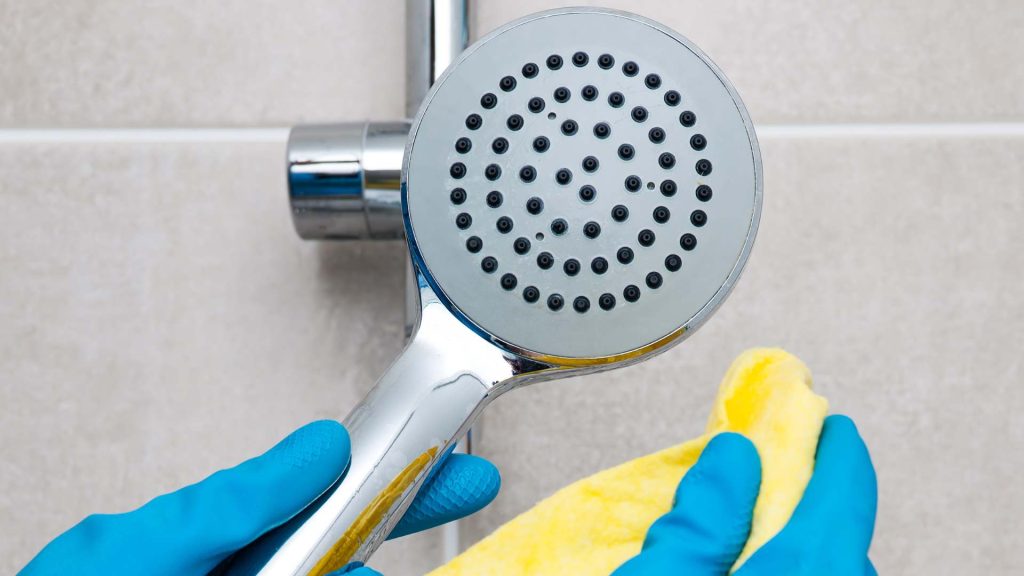 how to clean mould from shower 1