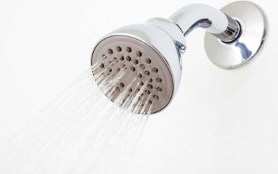 How to Remove Mould from a Shower?