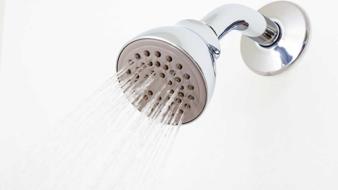 removing-mould-from-showe