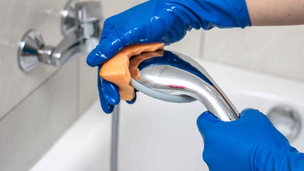 why mould is a problem