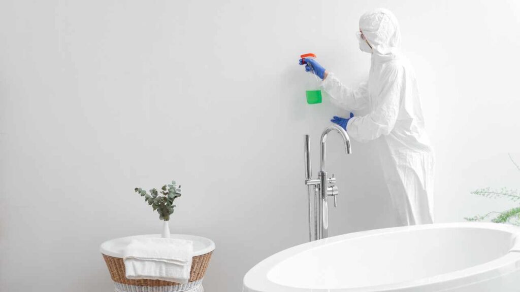 bathroom-mould-removal-cost