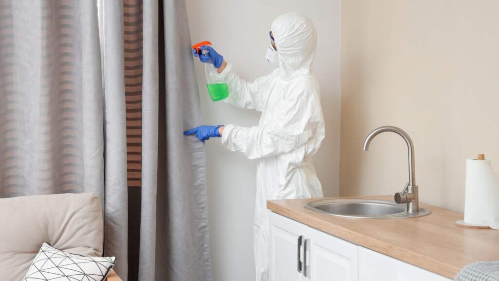 How to Identify and Address Moisture and Mould Indoors? 1 look-for-physical-clues-on-surfaces