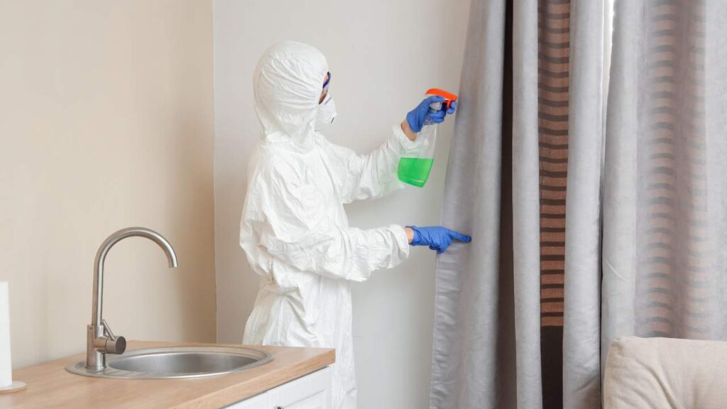 How Does the Professionals Help to Remove the Indoor Mould? 2 mould-removal-techniques