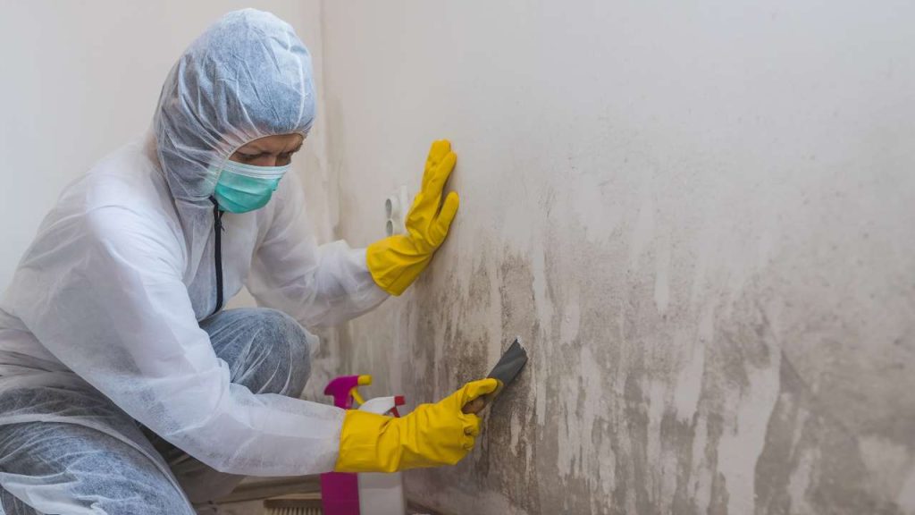 5 Common Mistakes Homeowners Make When Trying to Remove Mould 2 ignoring-the-real-cause-of-mould
