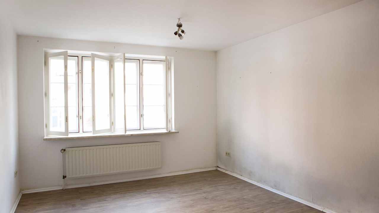 signs-of-hidden-mould-in-homes signs-of-hidden-mould-in-homes