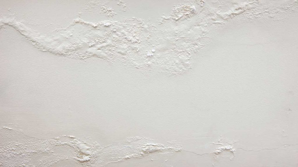 10 Signs You Have a Hidden Mould Problem at Home 2 warped and bubbling walls in homes