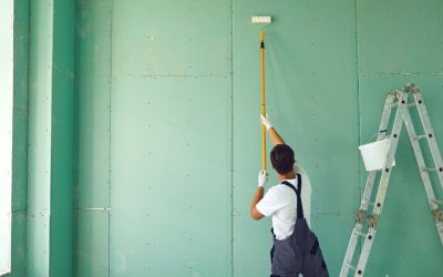 Blog 5 How Long Does Anti-Mould Paint Last?