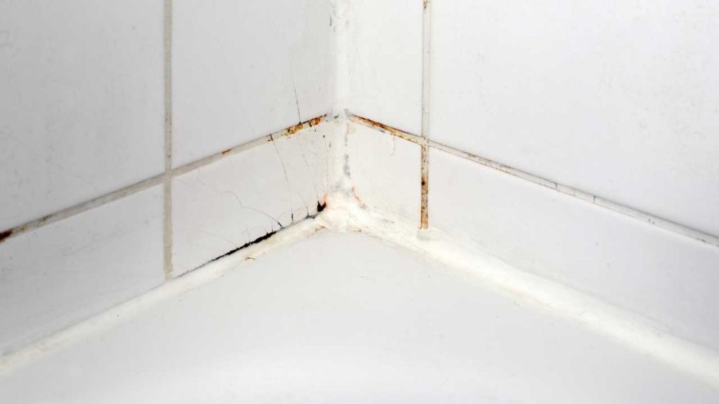 signs of mould in bathroom