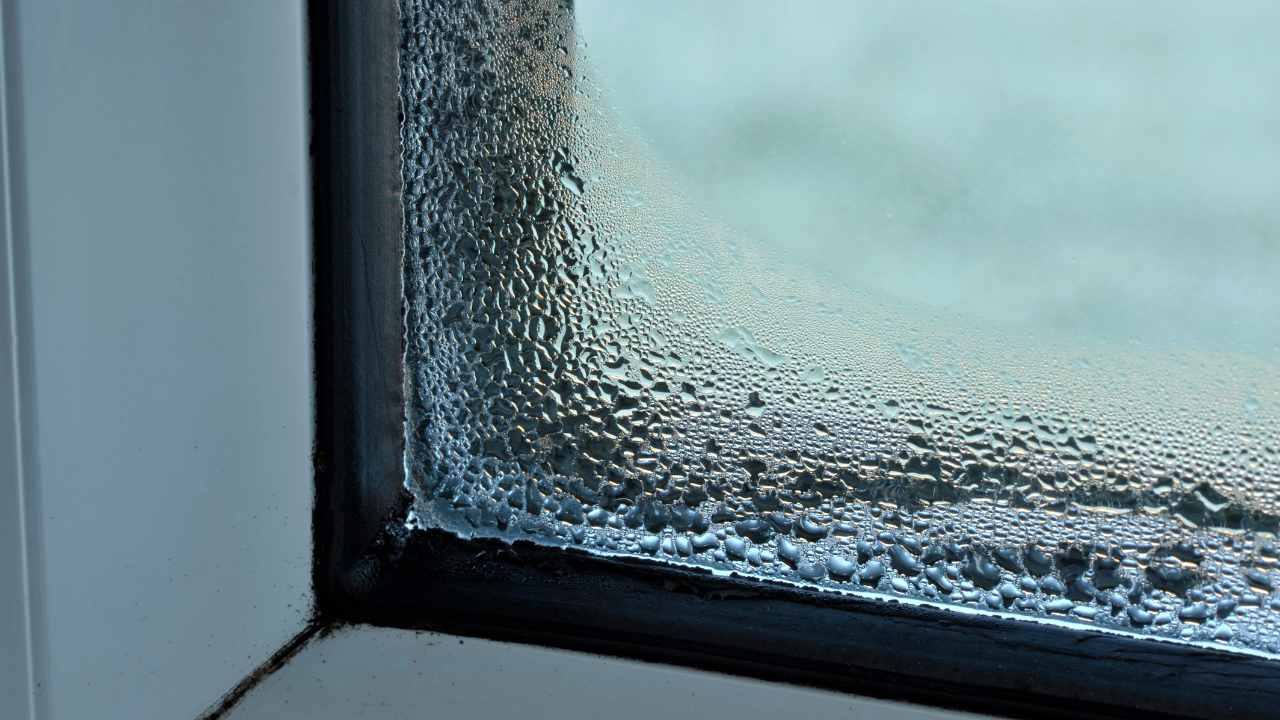 causes-effects-and-solutions-of-condensation causes-effects-and-solutions-of-condensation