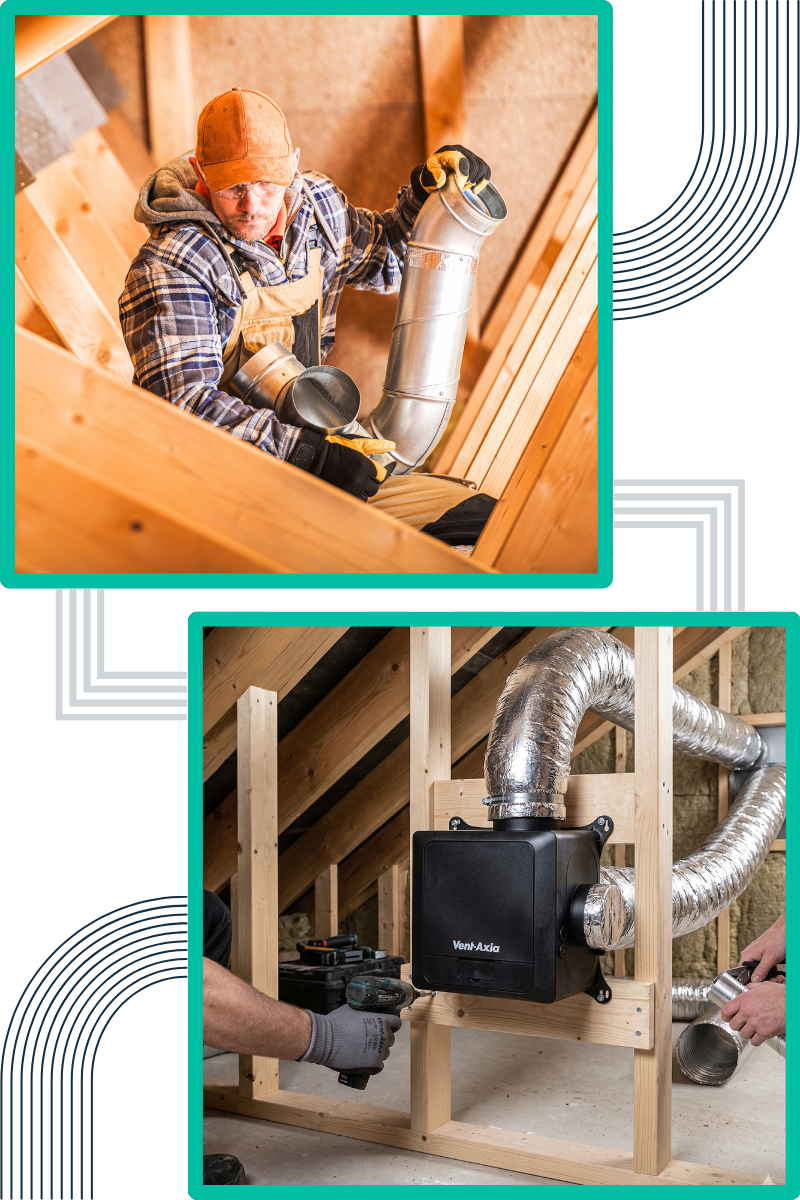 techniques-do-we-employ-for-effective-mould-remediation