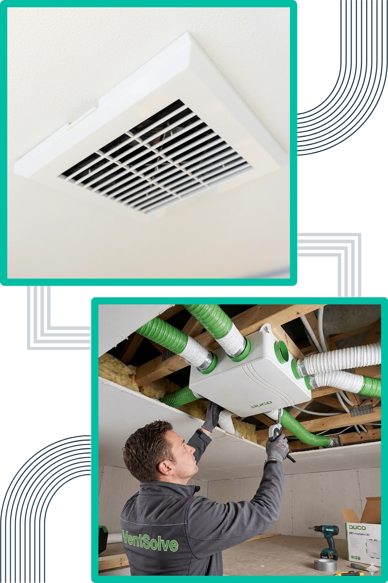 common-signs-of-mould-in-commercial-properties