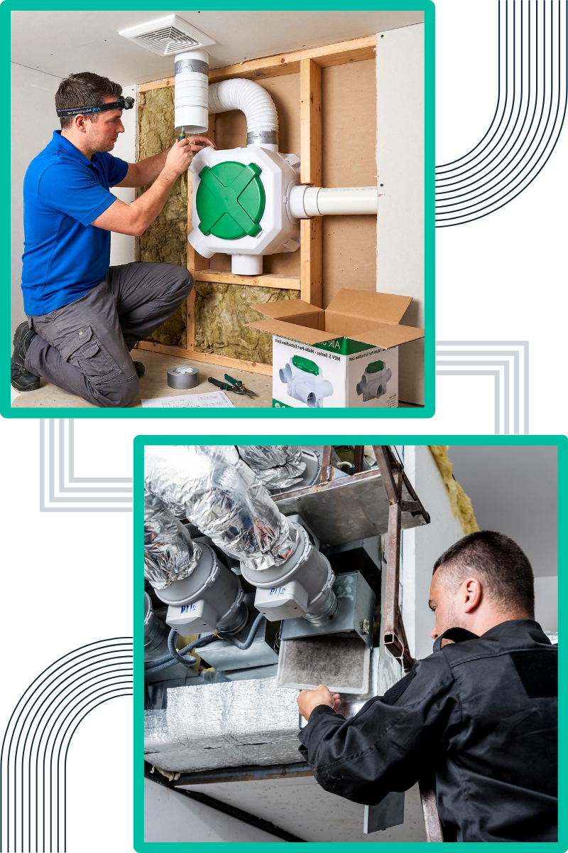 techniques-do-we-employ-for-effective-mould-remediation