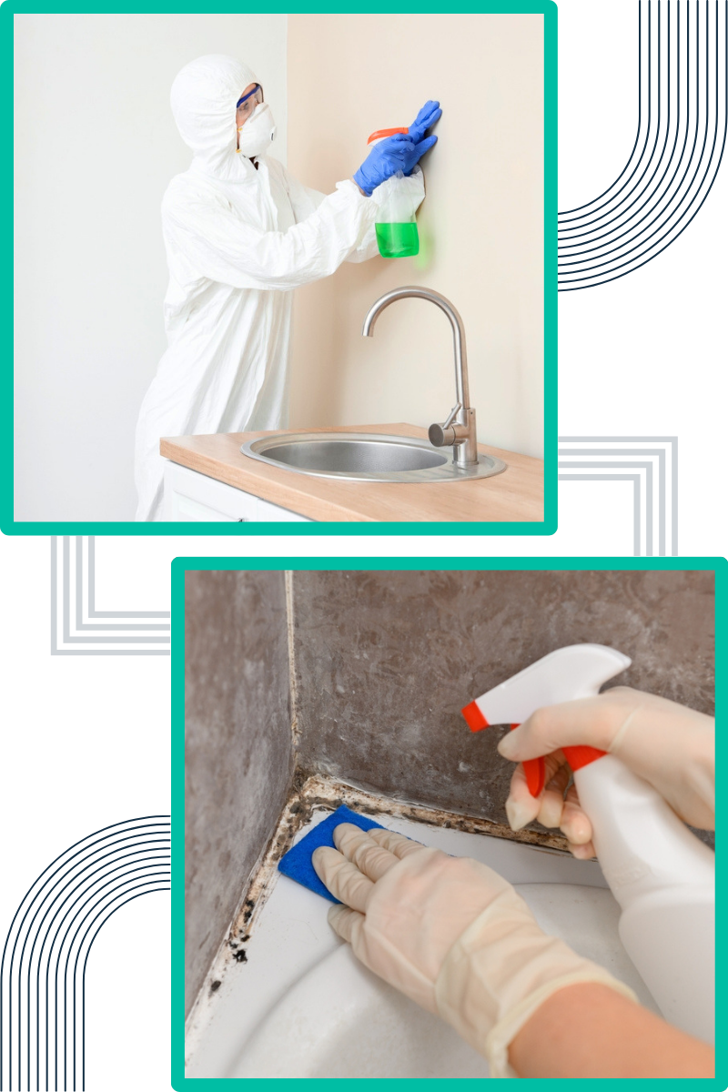 techniques-do-we-employ-for-effective-mould-remediation