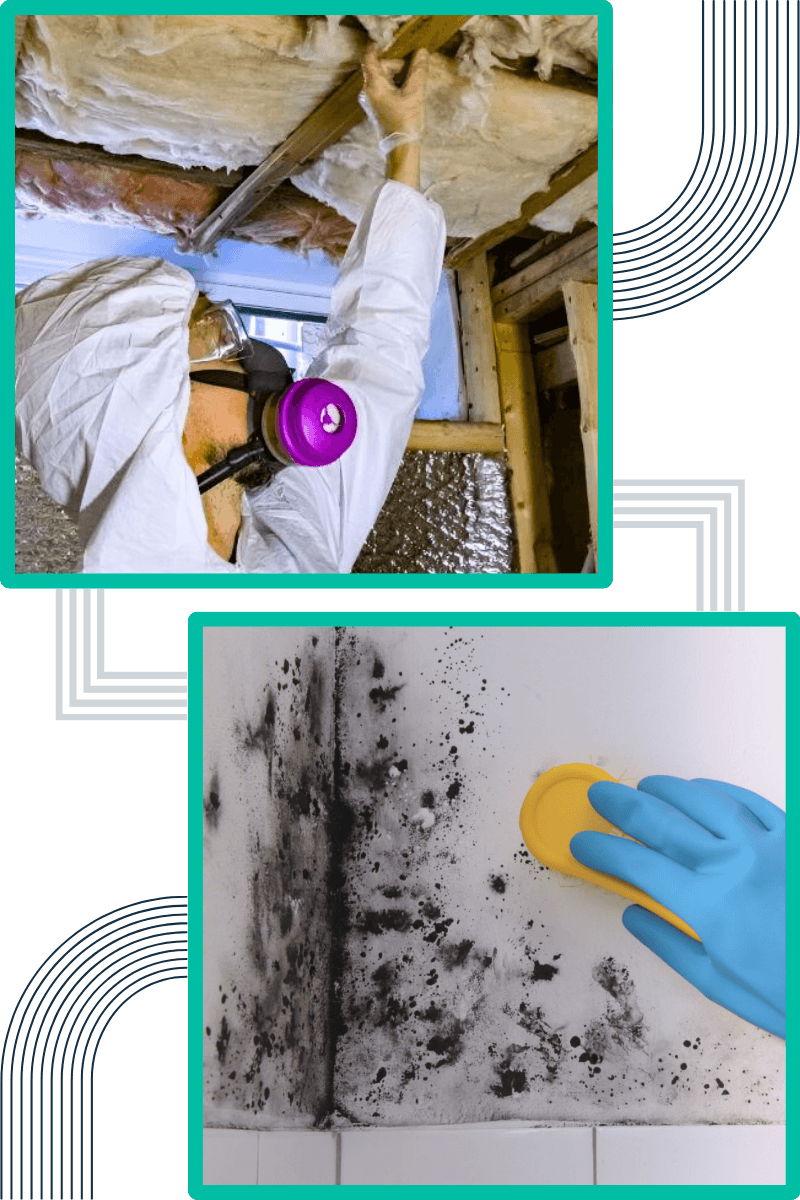 techniques-do-we-employ-for-effective-mould-remediation techniques-do-we-employ-for-effective-mould-remediation