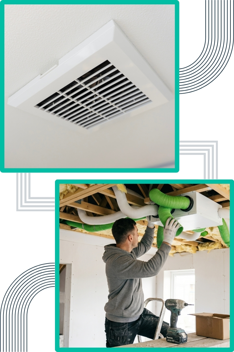 common-signs-of-mould-in-commercial-properties common-signs-of-mould-in-commercial-properties