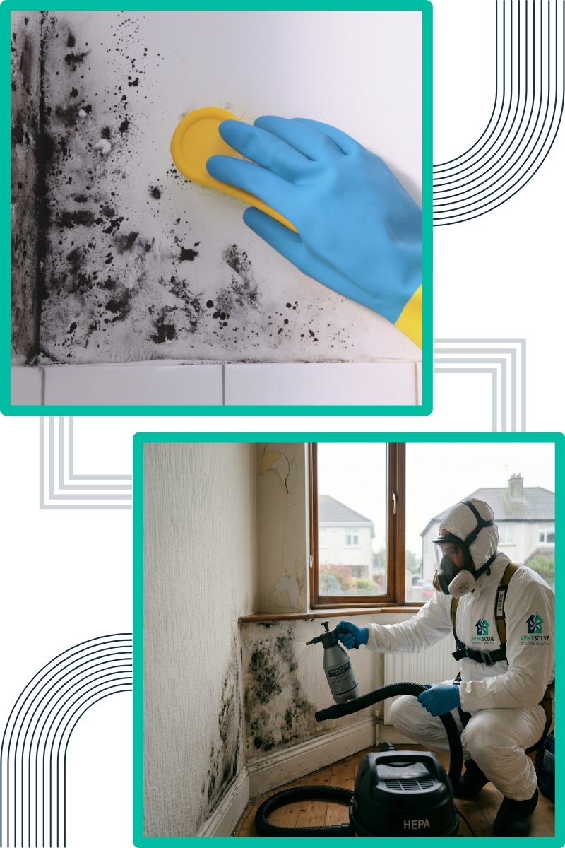common-signs-of-mould-in-commercial-properties