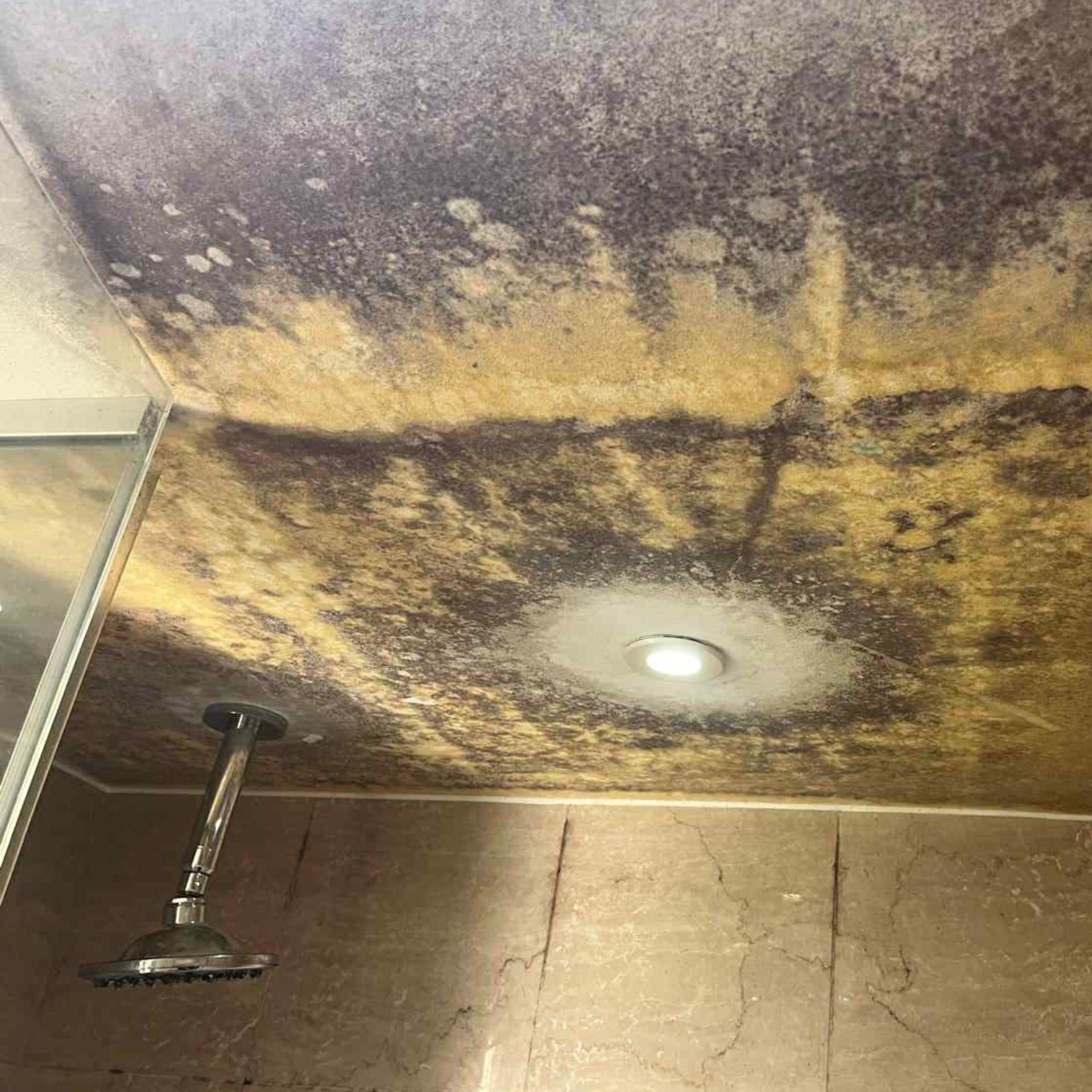 Before mould remediation