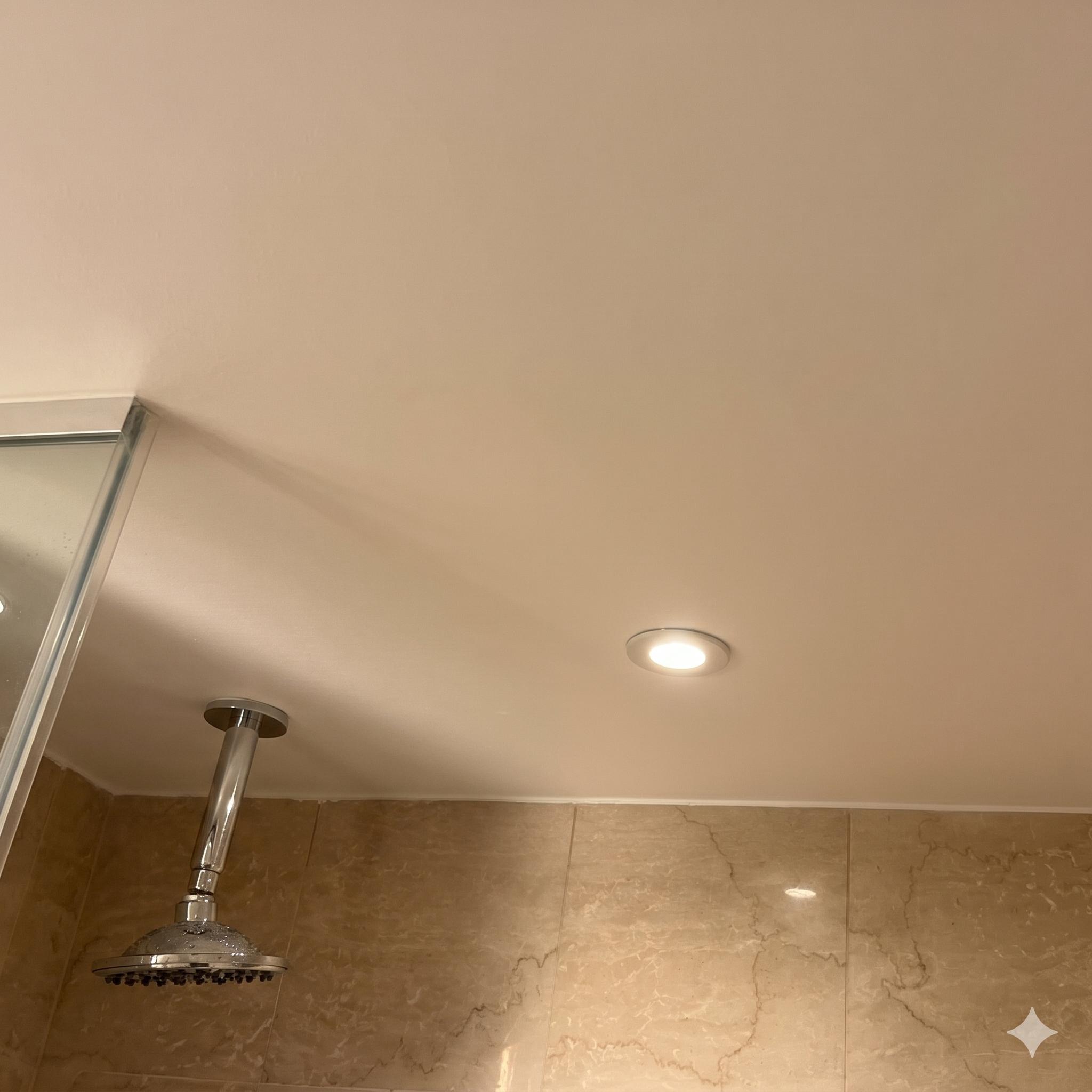 After mould remediation