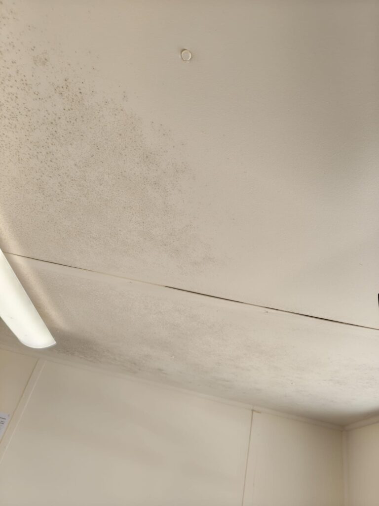 Grey mould spotting on a ceiling beside an extractor, photographed during a mould survey