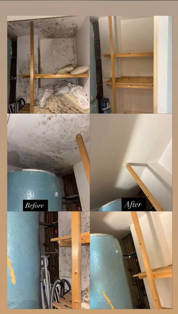 Hot press with mould on the walls before treatment and clean after