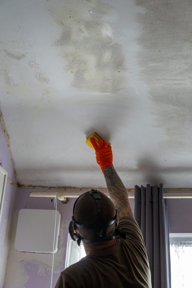 VentSolve technician in a respirator and gloves treating mould on a bedroom ceiling